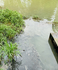 ������һ�£������ۺϷ���