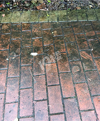 ��ʵ֤����С����ҵ����Ҫ��