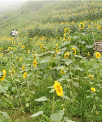 ���ٰ����80Ķ���տ�����ŭ��