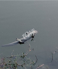 ����ɽˮ��������һĻ������ʲô��