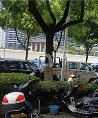 ����������йز��Ÿ����ܹ���