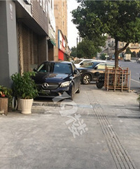 �����������������ƣ�