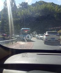 ̫��Դ��Ҷָ��