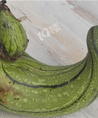 �²�����ʲô�ϣ�