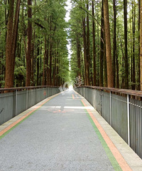 �����з羰�����Ƿ羰