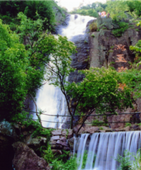 ������һ����԰�������ٰ���13��