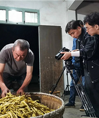 �����������ٰ���һ����ʳ������