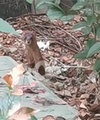 С���̻�����Ȼ�л�����