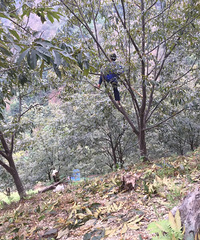 []ֵɪɪļˣϵĻƽҲ׬