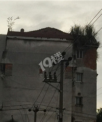 ������Ԣ��������ü�ް���