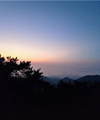 ���Ź���ȥ¶Ӫ