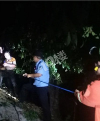 ���ݴ�����Ŀɽ���汻����ֻ��