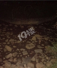 ������԰����ʲô�����