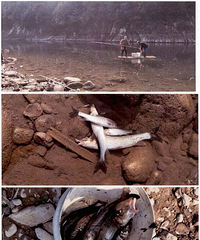 []ҩ㣬ͣˮ11Сʱٰ4ˣ