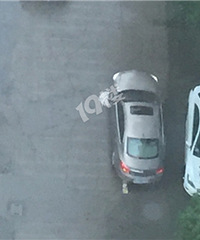 ��ɫʱ��������ѧ��ͣ������