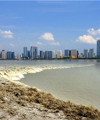 �������ʮ��Ǯ������ȥ���