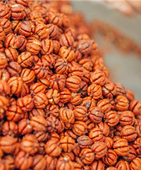 һ��ɽ���ң��ۼ۽�2Ԫ��