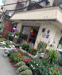 ϲݶԣ⼸λⲨʵ˿ɳܣ