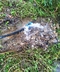 ��ˮ����̫��ϧ����˭֪������ά����һ���