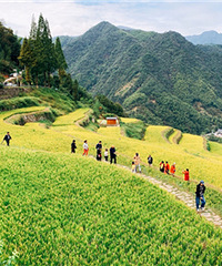 �����ٰ���һ·�ϵķ羰