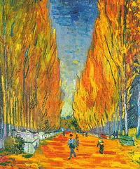 杭州后花园|青山湖最美的样子在秋天!