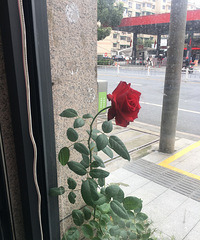 []̸ĻҪ͵̵԰ſھ֡ɻ