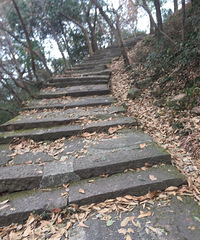 []ֵĩˣҶιģǲǸһ