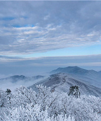 临安这些地方的最新雪景照美哭了
