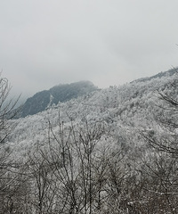 昨晚的一场大雪,今天的浙西天池美不胜收