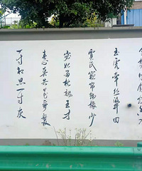万能的临安网友,你们手机相册里有没有这样的照片