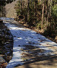 ��ѩ���ٰ�ɽ�Ͽ�����