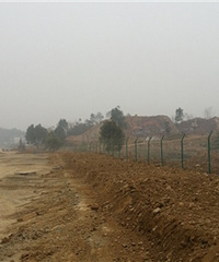 8��ǰ������������죡�ǵ���������