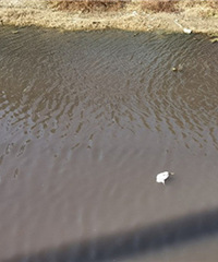 ��Ϫ��ˮ�������ɫ�ˣ�ʲô���