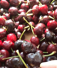 [ع]Դγ乺ҪСģΪˣû뵽