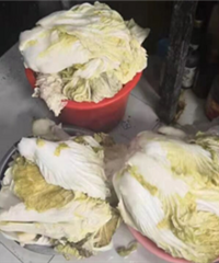 杭州大妈地里600斤白菜不翼而飞!