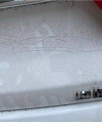 ��������µ��ˣ�һ�㳤ɶ����