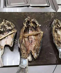 临安3名男子为准备年货毒鱼,查获时搜出10多斤鱼干!