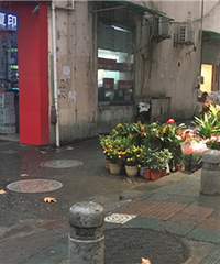 这个摆摊的,该支持还是该取缔?