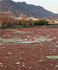 С�ͷ���վ�رպ������µ�����