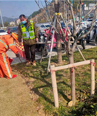 地铁农林大站绿化带内垃圾已清理干净