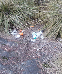 ����ɽС·���������