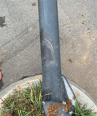 【小金跑现场】第457期:玲珑山路与城中街交叉口路灯被撞倾斜