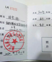 寄养一年狗狗,要钱时说不是狗主人