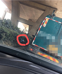 �㽭�����ϵ�Сʯͷ���Ǿ��ö�ô��