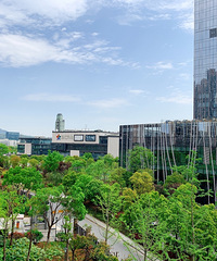 杭州,一座来了就需要奋斗的城市