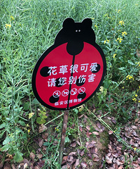 �ٰ�����ݼ��ţ�·��Ȼ�Ǳ��ȳ�����