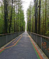 �ﳵ����ɽ������û��һ��ģ�