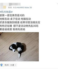 []̨Ϊʲôٰ¥ҡ10룿Ȩ