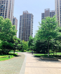 ��ɽ�������ڣ����ˣ������ꡣ