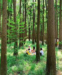 ��ɽ�������ڣ����ˣ������ꡣ